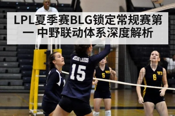 LPL夏季赛BLG锁定常规赛第一 中野联动体系深度解析